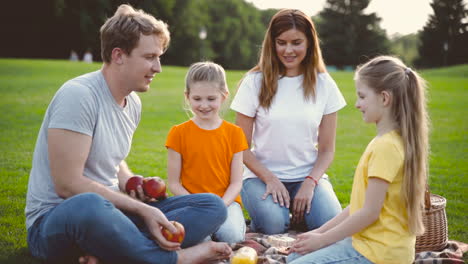 Glückliche-Familie,-Die-Ein-Picknick-Im-Park-Hat