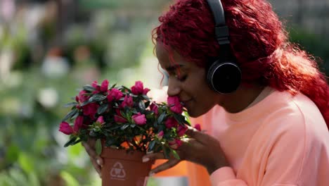 a young woman in headphones thoughtfully inhales the scent of pink plants in the greenhouse