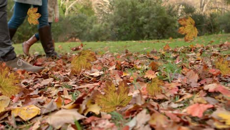 animation of autumn leaves falling over family walking in park