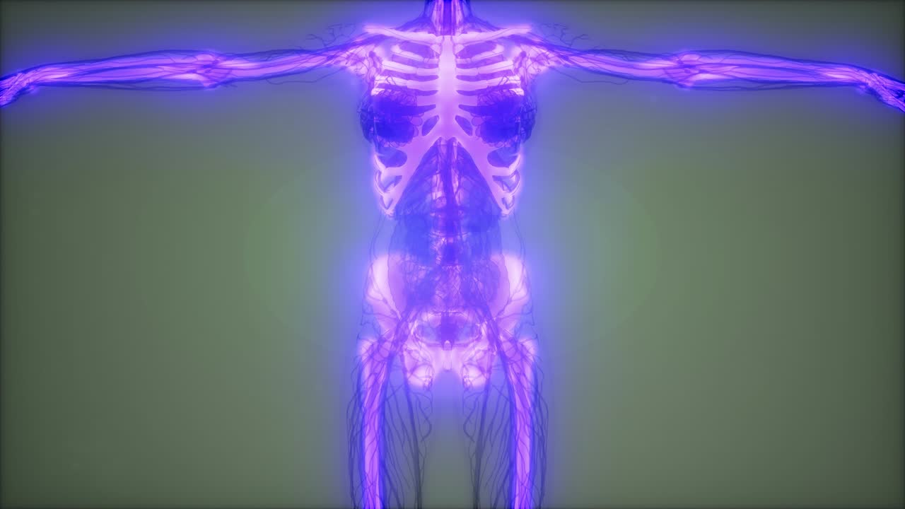 눈에 띄는  ⁇ 가 있는 투명한 인간 몸