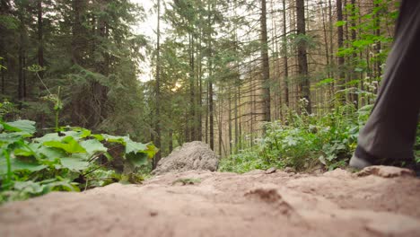 Wanderer,-Der-Den-Berg-Hinaufgeht-Und-Die-Aussicht-Genießt