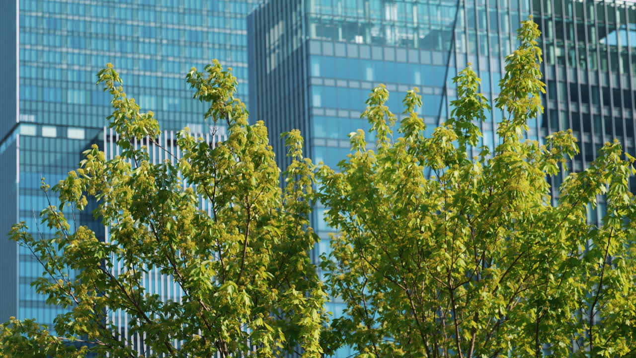 Blue sky and buildings reflected on glass wall of a skyscraper with trees nearby