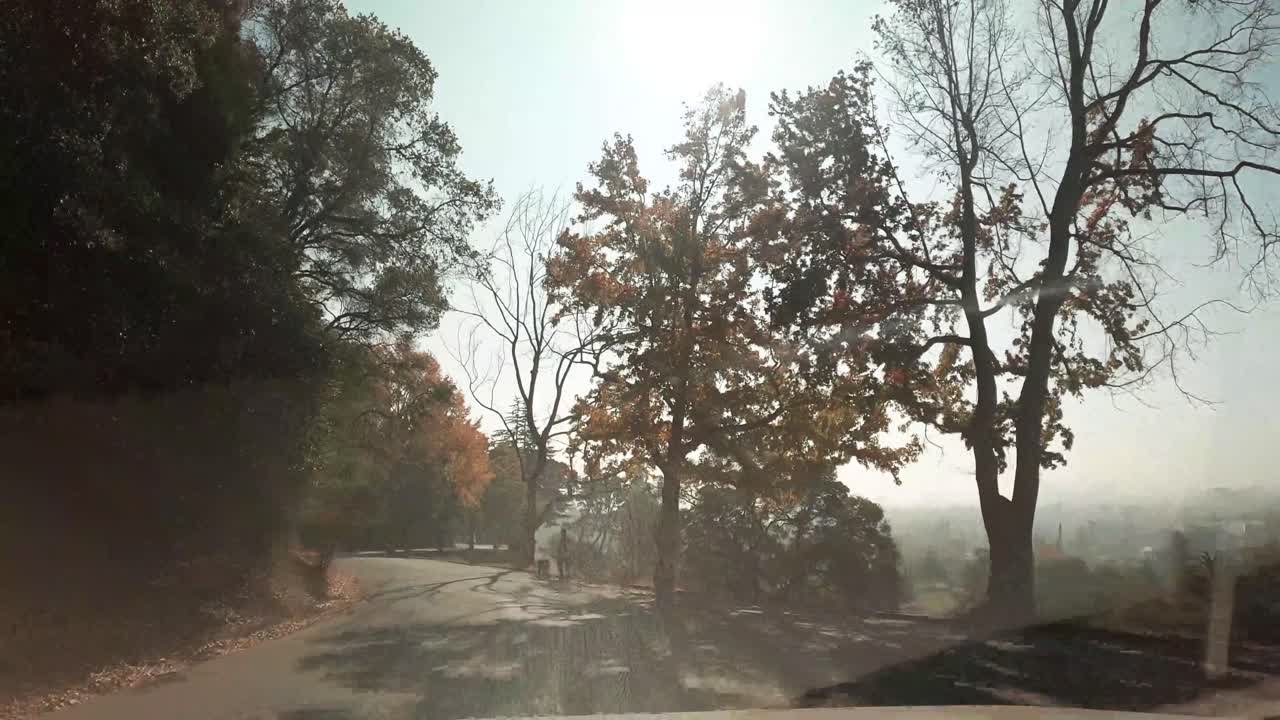 Sun flares pass through the trees in a large cemetery