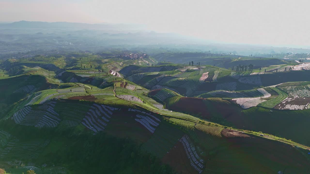 Green patterns of vegetable plantations on the hills. Aerial scenery rural landscape of agricultural field. Indonesia rural landscape.