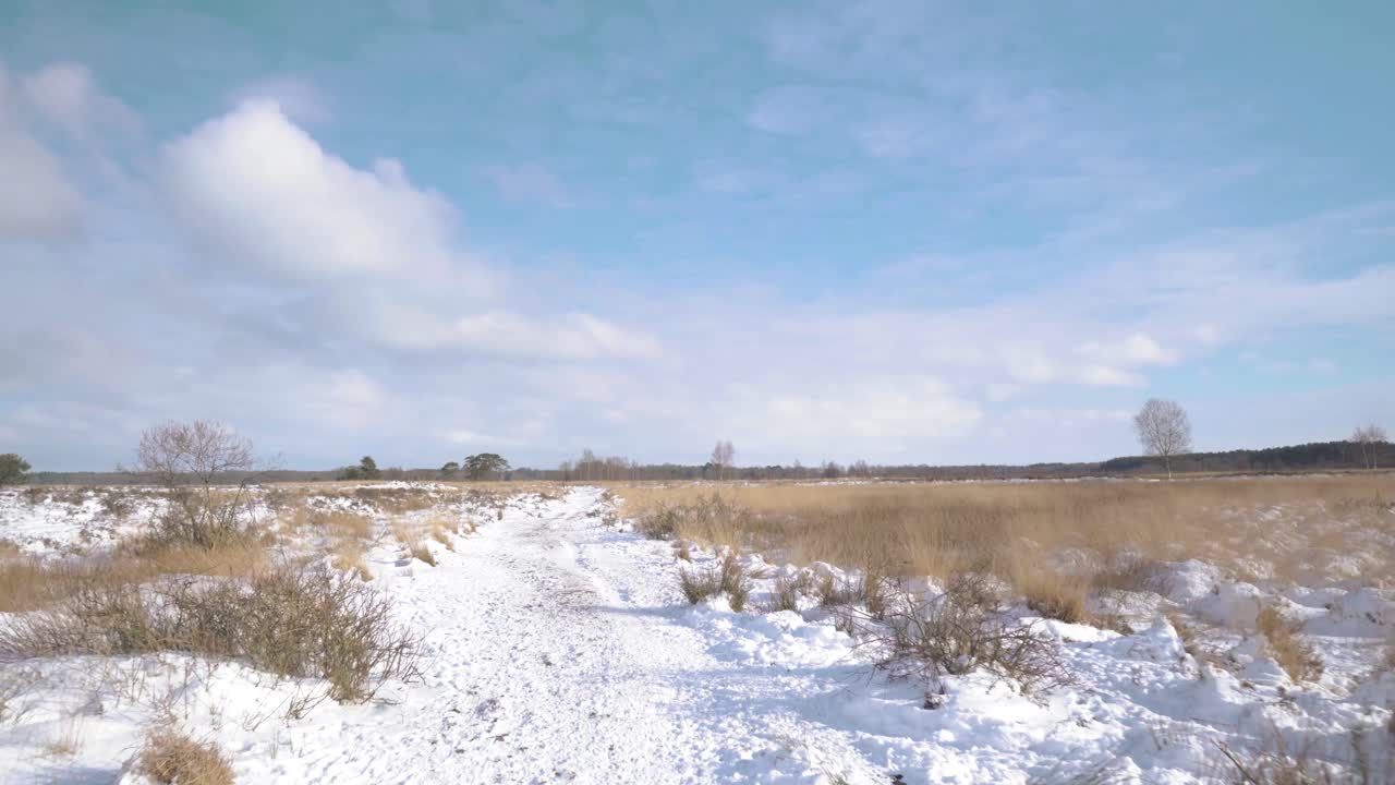 네덜란드 풍경 의 눈 인 겨울 길