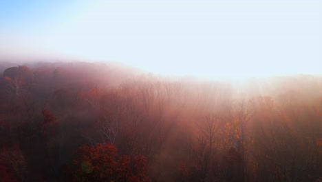 Vuelo-Aéreo-Sobre-El-Brumoso-Paisaje-Otoñal-En-El-Bosque-Al-Amanecer-Hacia-La-Luz-Del-Sol