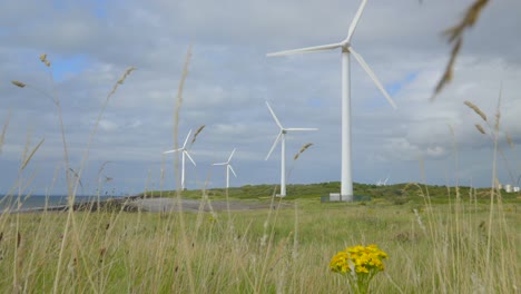 wind turbines low angle slow approach through grasses on cloudy summer day