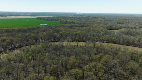 Fly-Over-Dense-Hardwood-Forest-Of-Lower-Hatchie-National-Wildlife-Refuge-In-Tennessee,-USA