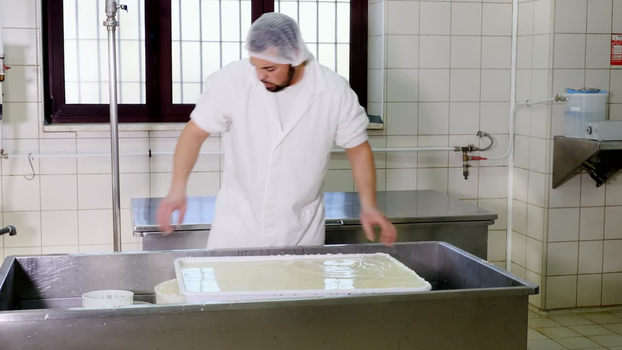 cheese maker putting fresh cheese in the molds- Cheese Factory