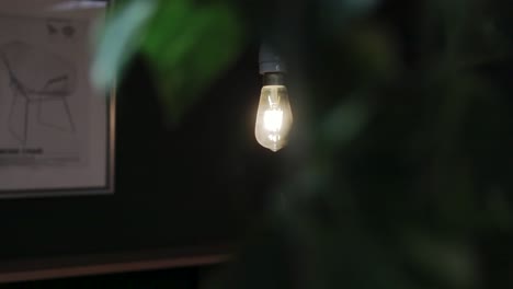 special light bulb is revealed through some greenery