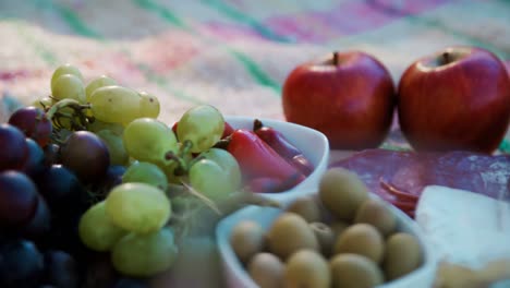 fruits and salami on picnic blanket 4k