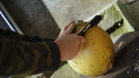 Close-Up-Shot-of-a-person-cutting-open-a-fresh-coconut-with-a-machete