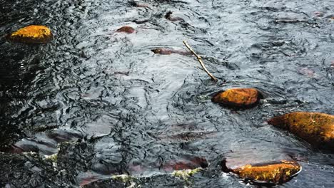 A-slow-moving-shallow-river-flows-over-the-orange-and-brown-surface-of-river-rocks