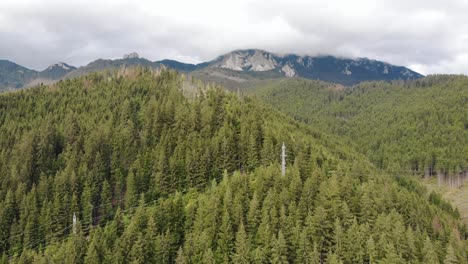 flying on forested mountains with cloudscape sky in the background