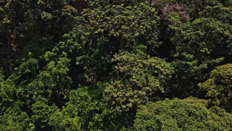 Drone-side-tracking-shot-of-lush-tropical-jungle-on-a-Island-in-Thailand