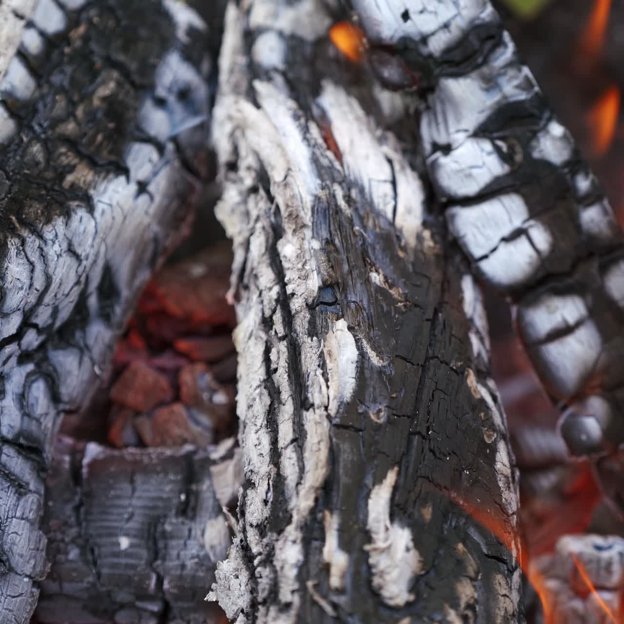 Charcoals in fire. White and black smoldered logs background. Wood turning into ash in fire. Close-up.