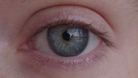 primer plano del ojo azul de una mujer