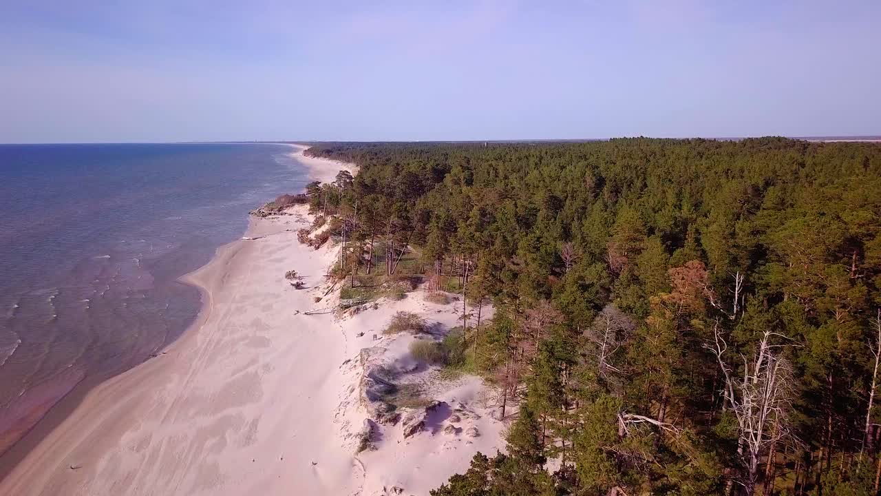 vista aérea de la costa del mar báltico en un día soleado, dunas escarpadas de la costa dañadas por las olas, pinos rotos, erosión costera, cambios climáticos, disparos de drones de gran angular a gran altitud que avanzan