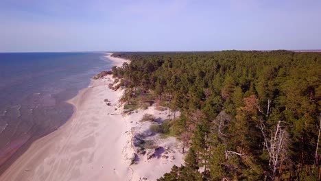 aerial view of baltic sea coast on a sunny day, steep seashore dunes damaged by waves, broken pine trees, coastal erosion, climate changes, high altitude wide angle drone shot moving forward