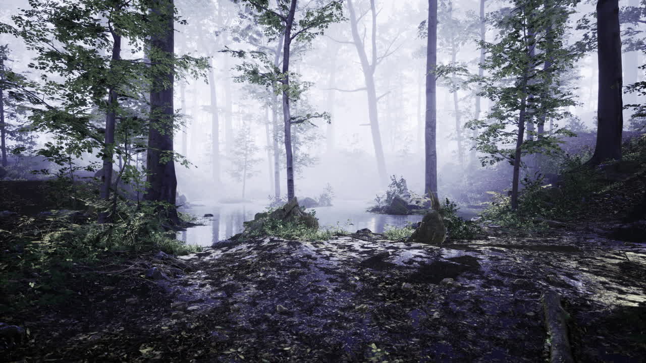 Misty forest at dawn reveals tranquil waters and verdant foliage