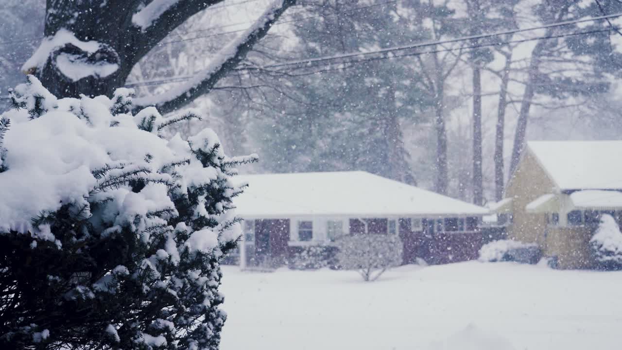 2022년 1월 엄청난 폭설과 돌풍