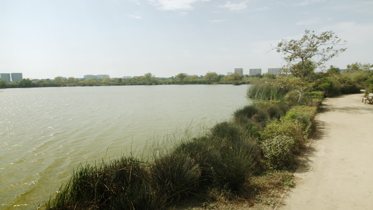 Lakeside pathway with benches