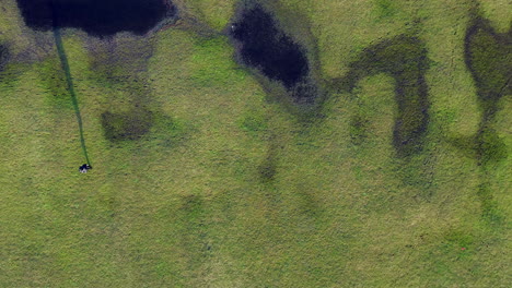 Top-View-Of-A-Person-Walking-On-Grassy-Landscape-Near-Wetlands