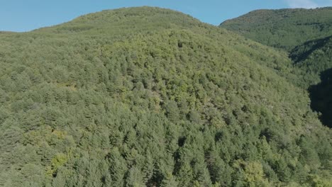 Natürlicher-Trieb-Der-Natur-Von-Huesca