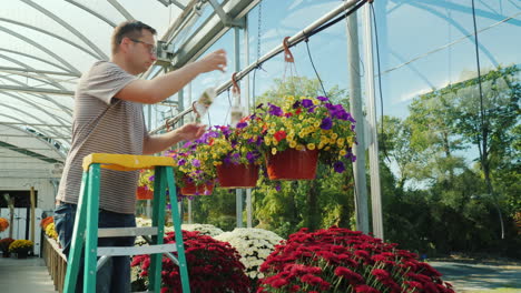 hombre etiquetas cestas de flores en invernadero