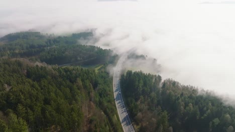 aerial view of a road leading into the fog with cars passing by on a spring morning