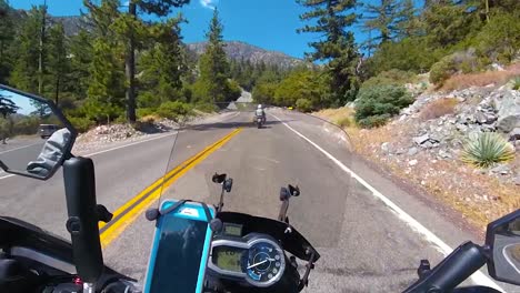 pov of motorcyclist having fun while riding on country road filled with forest near mt