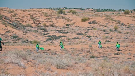 a view of the arabian desert dotted with green plants and trees in the uae