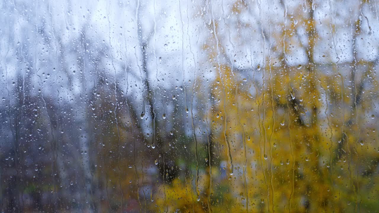 Rainy Autumn Day: View Through a Rain-Covered Window