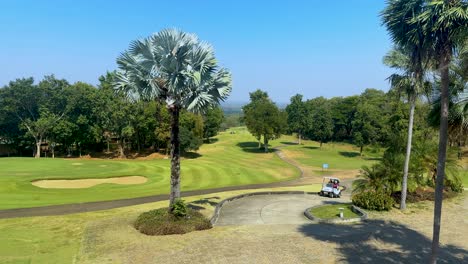 golf cart travels through lush, sunny landscape
