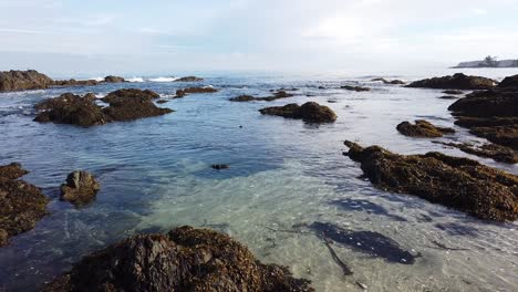 Schwenkaufnahme-Eines-Flachen-Bereichs-Am-Strand-Von-Cape-Scott-Auf-Der-Insel-Vancouver