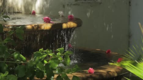 flores en la fuente en la granja de vino