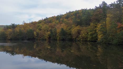 view-of-colored-leaves-and-trees-from-water-level-in-autumn