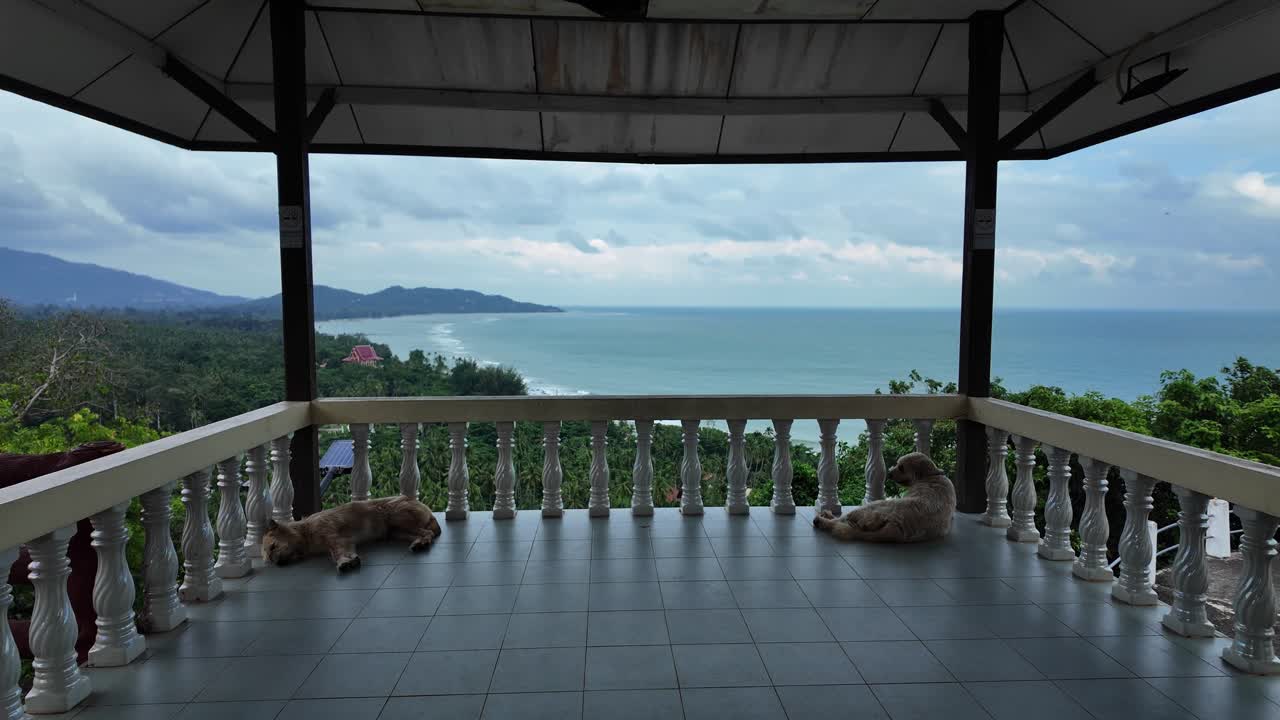 Gulf of Thailand viewpoint Koh Samui over tropical forest nature canopy Southeast Asia