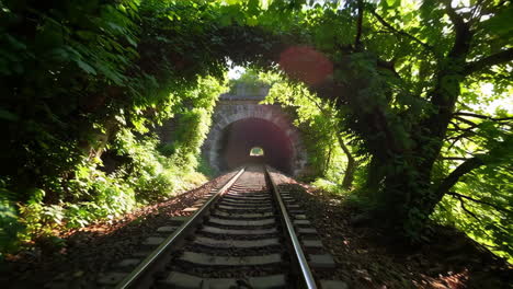 scenic railway tunnel through a green forest