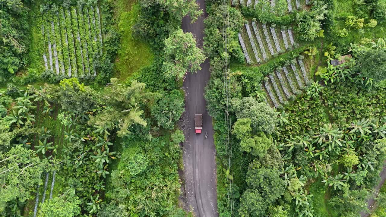 Aerial view of mining trucks crossing a road in the middle of the forest to transport mining products.