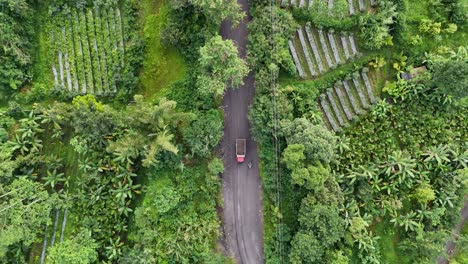 aerial view of mining trucks crossing a road in the middle of the forest to transport mining products.