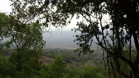 Vista-De-La-Sabana-Africana-A-Través-De-Los-árboles.