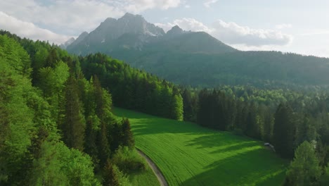 aerial flyover shot over a clearing in a forest in kranjska gora, slovenia to reveal the mountain range beyond