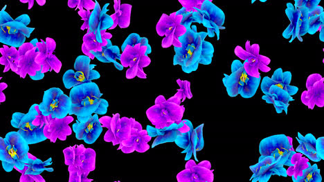flores exóticas de la jungla orquídeas tejas de bucle girando con alfa