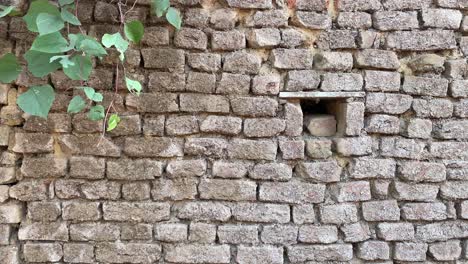 old, dirty bricks on which plaster has cracked over time at an old mud home