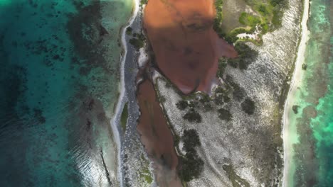 Aerial-tilt-up-revealing-the-stunning-Cayo-de-Agua-with-turquoise-waters-and-sandy-shores