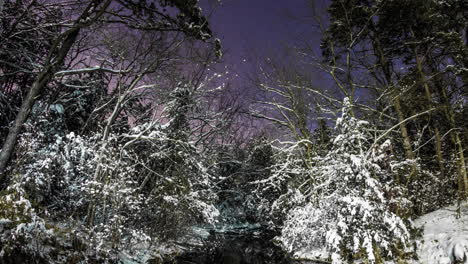 Un-Arroyo-Tranquilo-Fluye-A-Través-De-árboles-Cubiertos-De-Nieve-Bajo-Un-Cielo-Nocturno-Estrellado