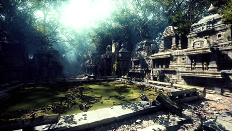 sunlit ruins in a lush jungle
