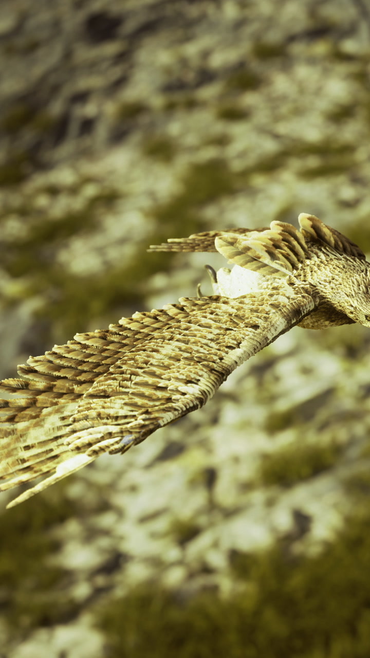 Majestic eagle soars above lush green landscape in early morning light