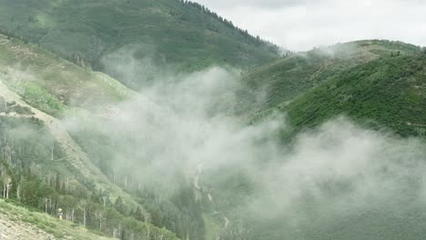 aerial of low fog hanging over mountain and forest trees-1